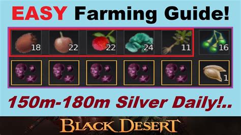 bdo lv farming|black desert farming chart.